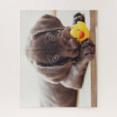 Niedliche Kleintiere | Chocolate Labrador Puppy Puzzle (Vertikal)