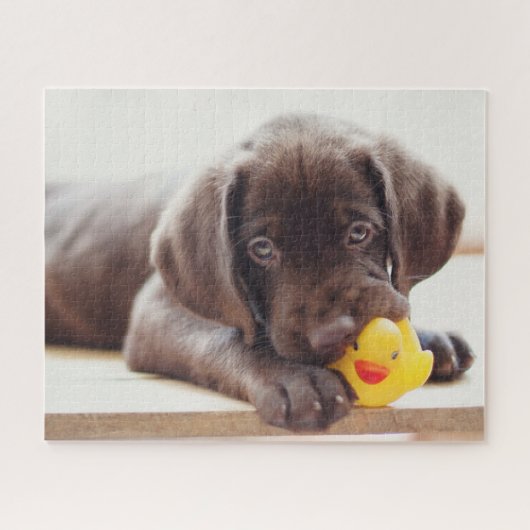 Niedliche Kleintiere | Chocolate Labrador Puppy Puzzle (Horizontal)