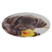 Niedliche Kleintiere | Chocolate Labrador Puppy Schneidebrett (Ecke)