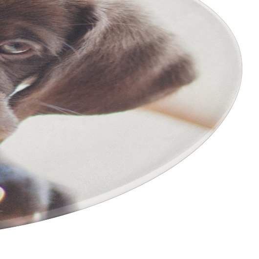 Niedliche Kleintiere | Chocolate Labrador Puppy Schneidebrett (Ecke)