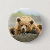 Niedliche Kleintiere | Coastal Brown Bären Cube Button (Vorderseite)