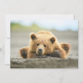 Niedliche Kleintiere | Coastal Brown Bären Cube Dankeskarte (Vorderseite)