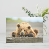 Niedliche Kleintiere | Coastal Brown Bären Cube Dankeskarte (Stehend Vorderseite)