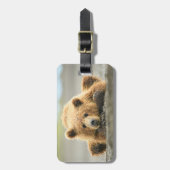 Niedliche Kleintiere | Coastal Brown Bären Cube Gepäckanhänger (Vorderseite vertikal)