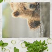 Niedliche Kleintiere | Coastal Brown Bären Cube Geschirrtuch (Gefaltet)