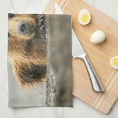 Niedliche Kleintiere | Coastal Brown Bären Cube Geschirrtuch (Viertel Falte)