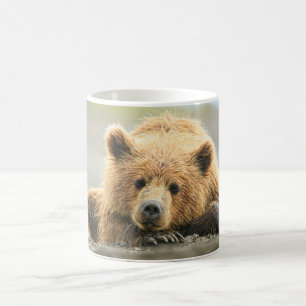 Niedliche Kleintiere   Coastal Brown Bären Cube Kaffeetasse