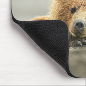 Niedliche Kleintiere | Coastal Brown Bären Cube Mousepad (Ecke)