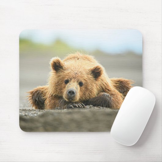 Niedliche Kleintiere | Coastal Brown Bären Cube Mousepad (Mit Mouse)
