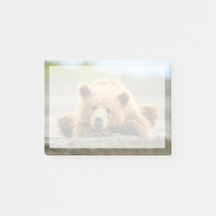 Niedliche Kleintiere   Coastal Brown Bären Cube Post-it Klebezettel
