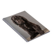 Niedliche Kleintiere | Cockapoo Welpe Notizblock (Rechte Seite)