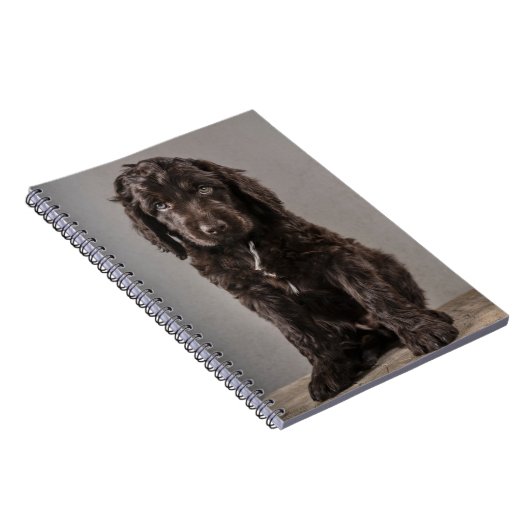 Niedliche Kleintiere | Cockapoo Welpe Notizblock (Rechte Seite)