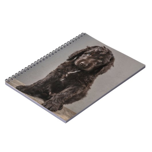 Niedliche Kleintiere | Cockapoo Welpe Notizblock (Linke Seite)