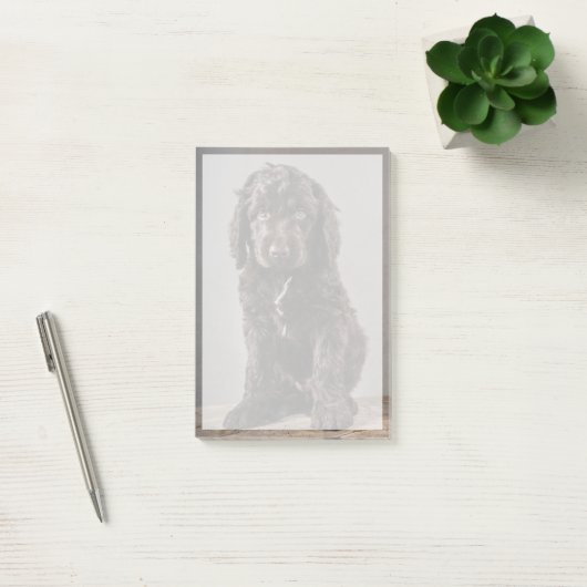 Niedliche Kleintiere | Cockapoo Welpe Post-it Klebezettel (Büro)