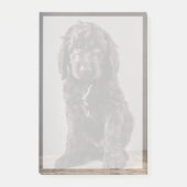 Niedliche Kleintiere | Cockapoo Welpe Post-it Klebezettel (Vorderseite)