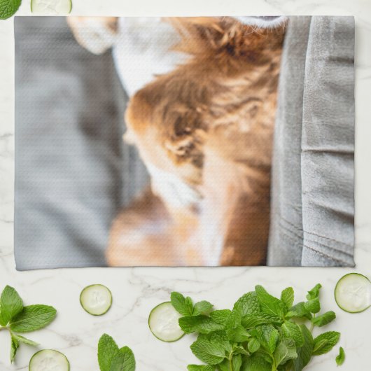 Niedliche Kleintiere | Cocker Spanel Geschirrtuch (Gefaltet)