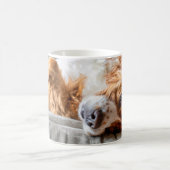 Niedliche Kleintiere | Cocker Spanel Kaffeetasse (Mittel)
