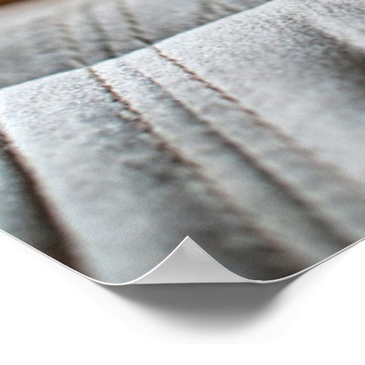 Niedliche Kleintiere | Cocker Spanel Poster (Ecke)