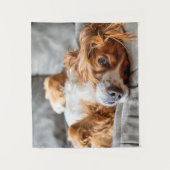 Niedliche Kleintiere | Cocker Spanel Wandteppich (Vorderseite)