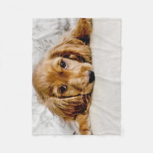 Niedliche Kleintiere | Cocker Spaniel Puppy Fleecedecke (Vorderseite)