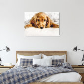 Niedliche Kleintiere | Cocker Spaniel Puppy Leinwanddruck (Insitu (Schlafzimmer))