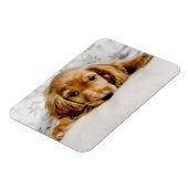 Niedliche Kleintiere | Cocker Spaniel Puppy Magnet (Linke Seite)