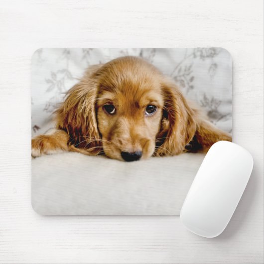Niedliche Kleintiere | Cocker Spaniel Puppy Mousepad (Mit Mouse)