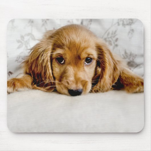 Niedliche Kleintiere | Cocker Spaniel Puppy Mousepad (Vorne)