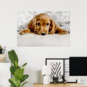 Niedliche Kleintiere | Cocker Spaniel Puppy Poster (Heimbüro)