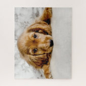 Niedliche Kleintiere | Cocker Spaniel Puppy Puzzle (Vertikal)