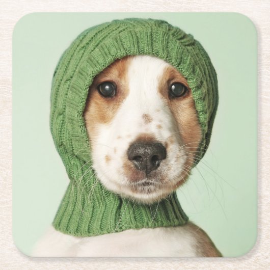 Niedliche Kleintiere | Cocker Spaniel Puppy Rechteckiger Pappuntersetzer (Vorderseite)