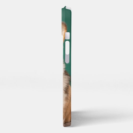 Niedliche Kleintiere | Corgi auf Aquamarin iPhone Hülle (Linke Seite)