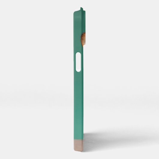 Niedliche Kleintiere | Corgi auf Aquamarin iPhone Hülle (Rechte Seite)