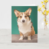 Niedliche Kleintiere | Corgi auf Aquamarin Karte (Gelbe Blume)