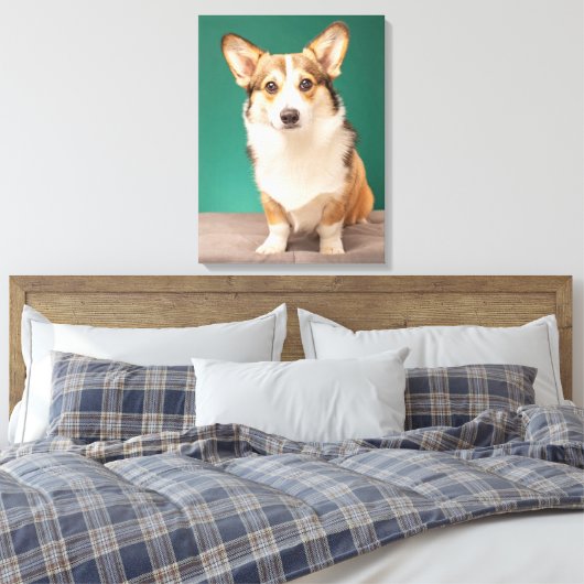 Niedliche Kleintiere | Corgi auf Aquamarin Leinwanddruck (Insitu (Schlafzimmer))