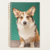 Niedliche Kleintiere | Corgi auf Aquamarin Planer (Vorderseite)
