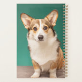 Niedliche Kleintiere | Corgi auf Aquamarin Planer (Rückseite)