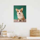 Niedliche Kleintiere | Corgi auf Aquamarin Poster (Küche)