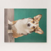Niedliche Kleintiere | Corgi auf Aquamarin Puzzle (Horizontal)