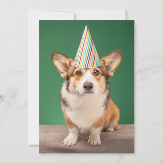 Niedliche Kleintiere | Corgi Birthday Welppy Dankeskarte (Vorderseite)