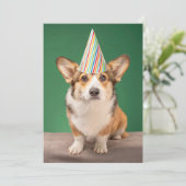 Niedliche Kleintiere | Corgi Birthday Welppy Dankeskarte (Stehend Vorderseite)