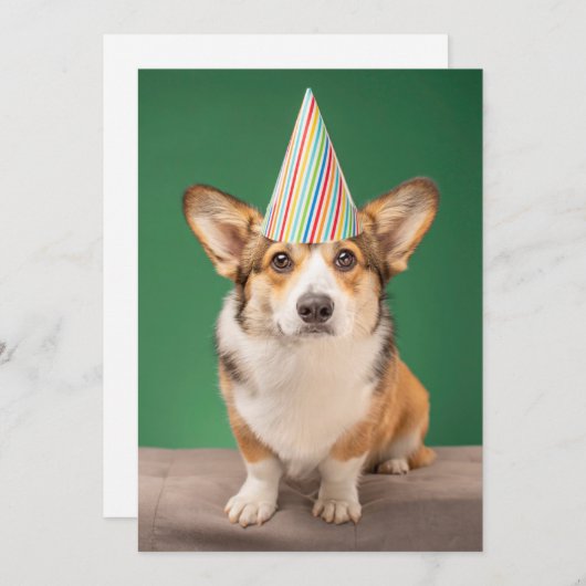 Niedliche Kleintiere | Corgi Birthday Welppy Dankeskarte (Vorne/Hinten)