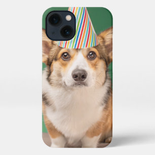 Niedliche Kleintiere   Corgi Birthday Welppy iPhone 13 Hülle