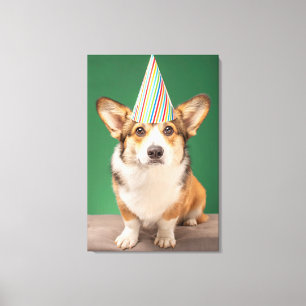 Niedliche Kleintiere   Corgi Birthday Welppy Leinwanddruck