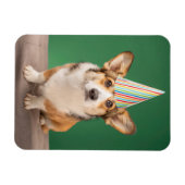 Niedliche Kleintiere | Corgi Birthday Welppy Magnet (Horizontal)