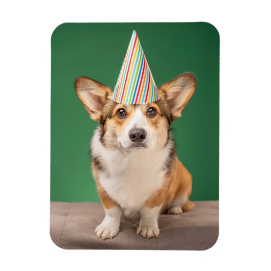 Niedliche Kleintiere | Corgi Birthday Welppy Magnet (Vertikal)
