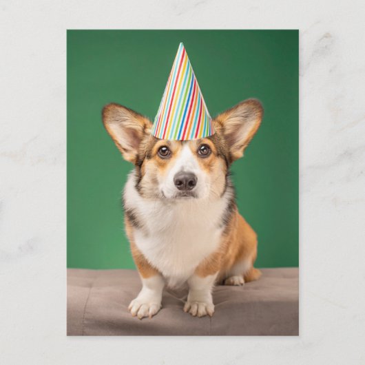 Niedliche Kleintiere | Corgi Birthday Welppy Postkarte (Vorderseite)