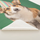 Niedliche Kleintiere | Corgi Birthday Welppy Sherpadecke (3/4)