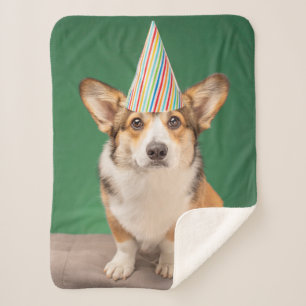 Niedliche Kleintiere Corgi Birthday Welppy Sherpadecke