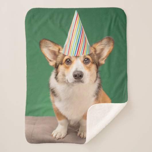 Niedliche Kleintiere | Corgi Birthday Welppy Sherpadecke (Vorderseite)